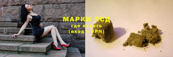 стафф Арсеньев