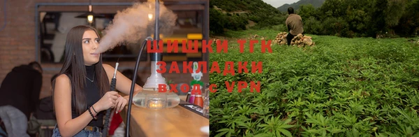 стафф Арсеньев