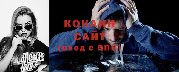 стафф Арсеньев